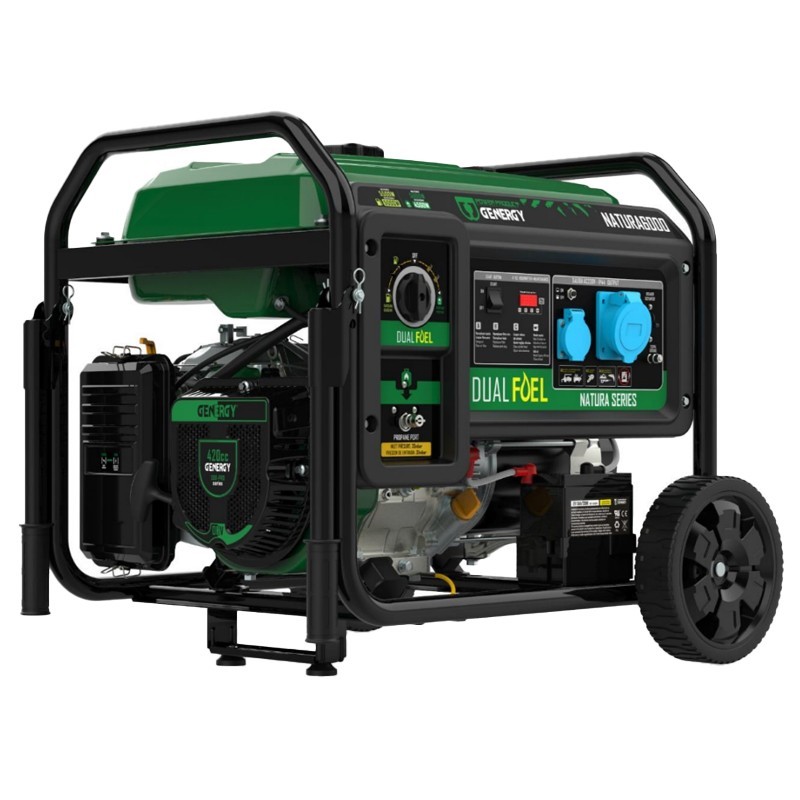 generador-electrico-dual-fuel-genergy-natura-6000-iii-5500-w.jpg